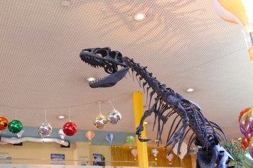 アロサウルス骨格